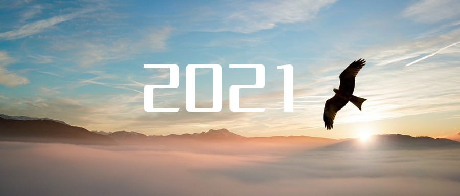 乘“峰”而上，智“盈”未来 ——2021年leyu.乐鱼环境高级资深副总裁新年开工动员